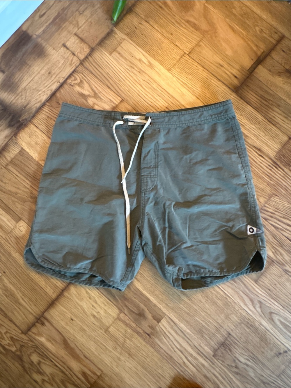 Mollusk Men's Scallop Olive Swim Trunks with Drawcord